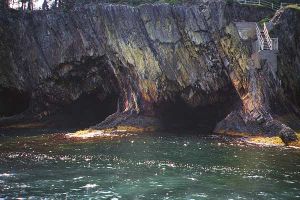 The Ovens